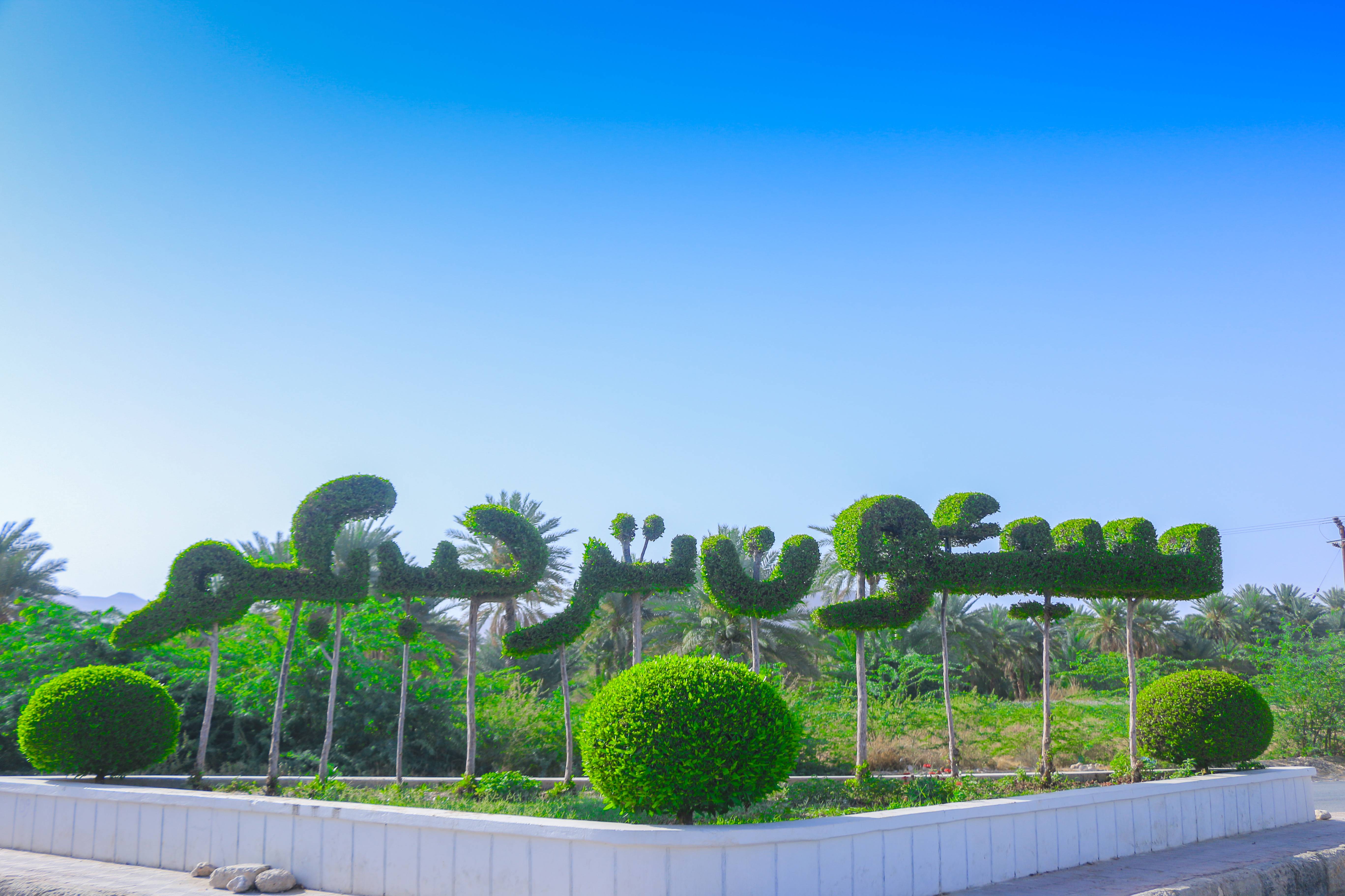 التشجير والتجميل